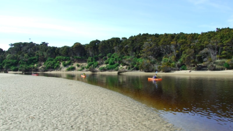 Explore a hidden gem as you hire a kayak for one or two hours and paddle through the beautiful Papatowai waters...